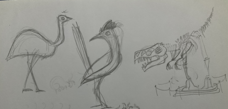 Record breaker Ostrich sketches