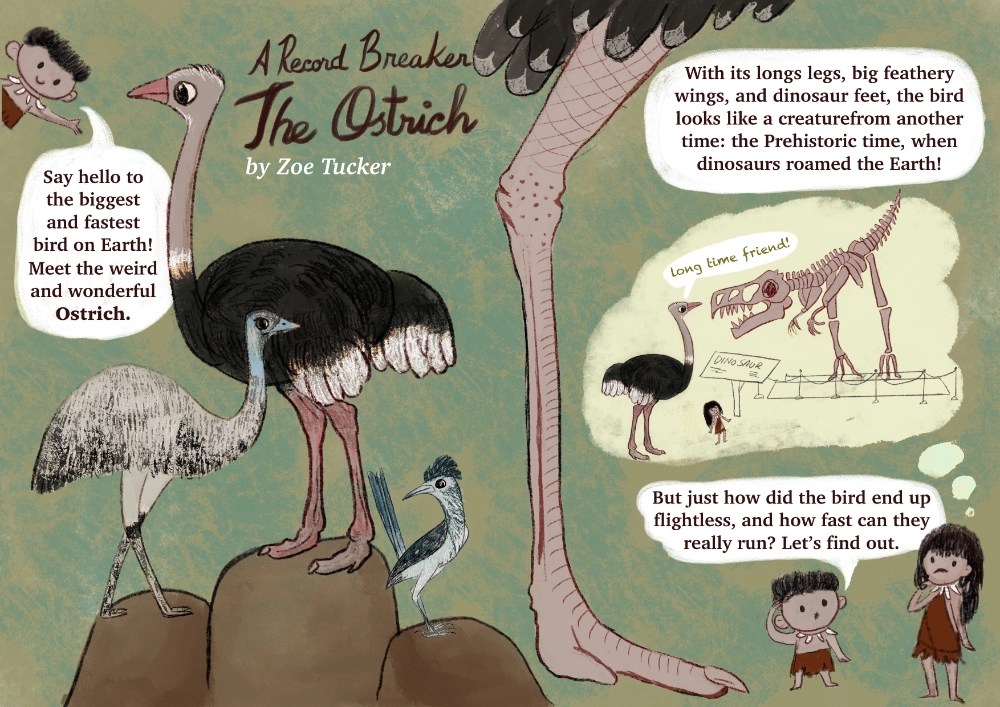 Record breaker Ostrich